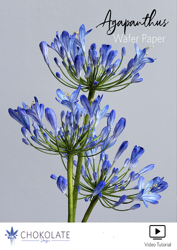 Agapanthus Wafer Paper - Chokolate Designs
