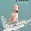 Cockatoo Wafer Paper