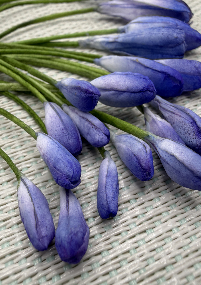 African Lily Agapanthus Wafer Paper - Chokolate Designs