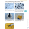 Blooms & Bees Demo Product EN