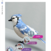 Blue Jay Table of contents Wafer Paper Chokolate Designs