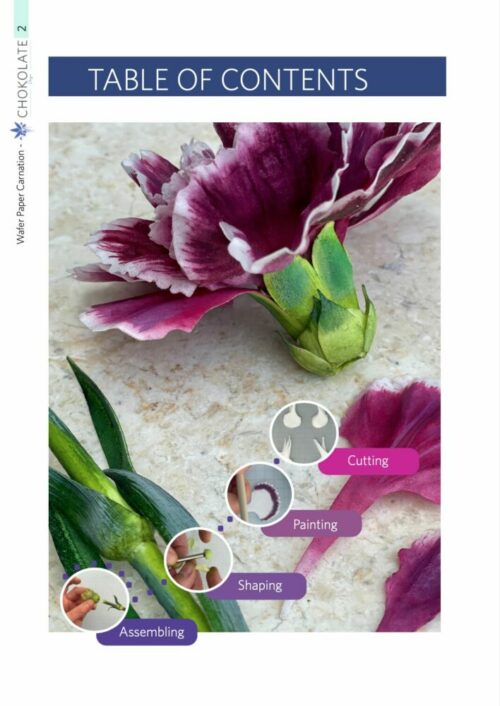 EBook Wafer Paper Carnations