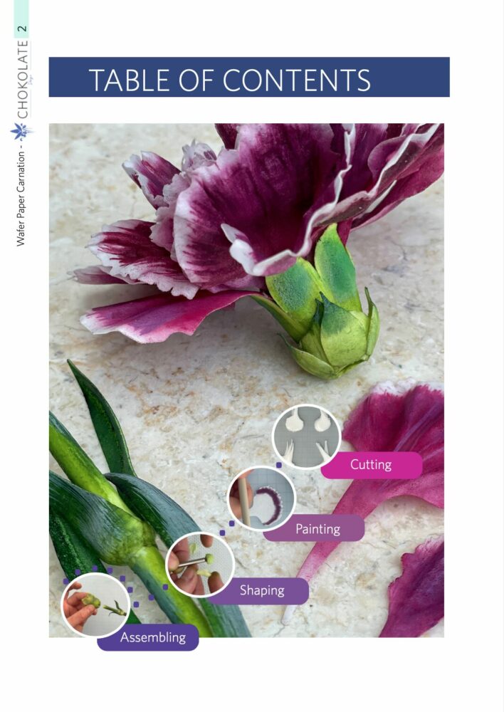 Wafer Paper Carnations