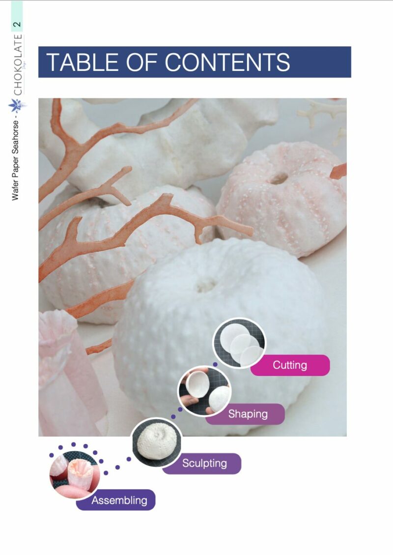 Sea Urchins Corals content