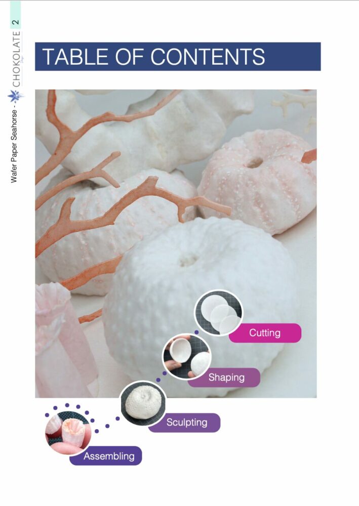 Sea Urchins Corals content