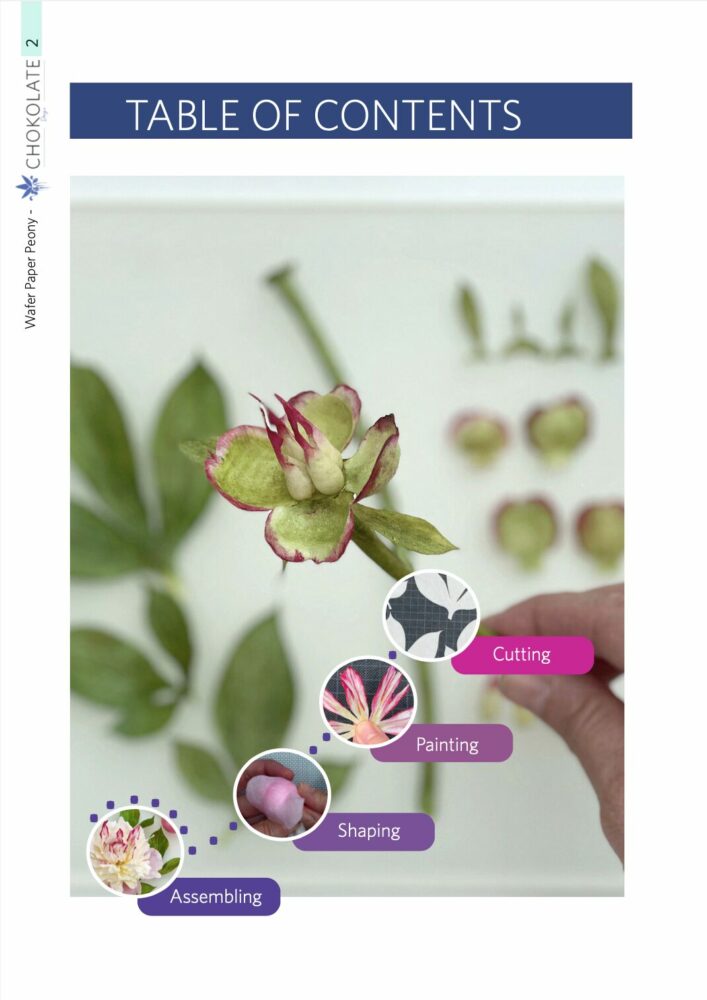 Wafer Paper Peony Flower Content Chokolate Designs