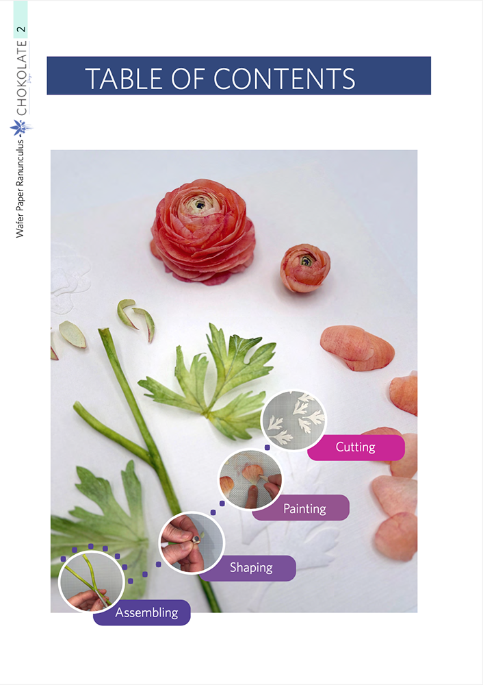 Ranunculus eBook - Chokolate Designs