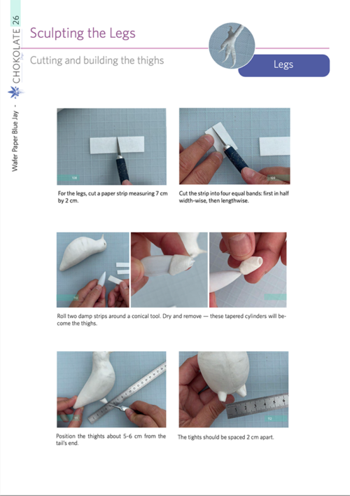 eBook Wafer Paper Blue Jay