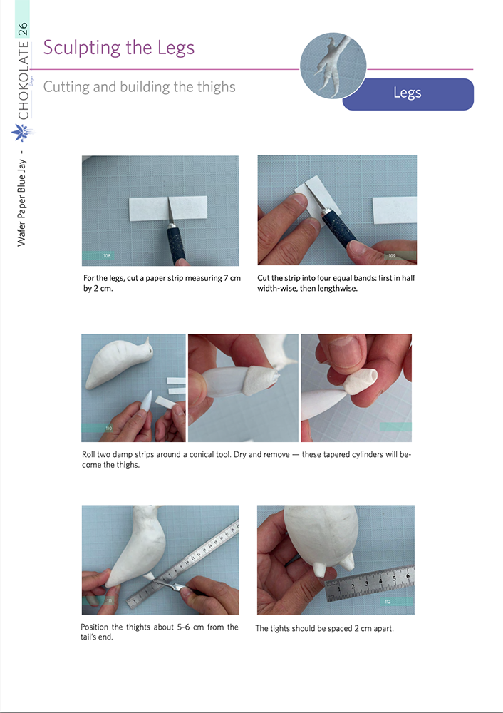 Blue Jay Tutorial Wafer Paper Chokolate Designs