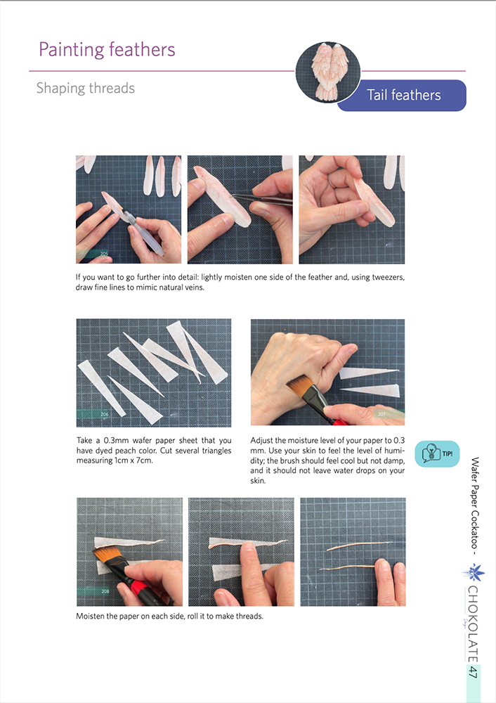 Cockatoo tutorial