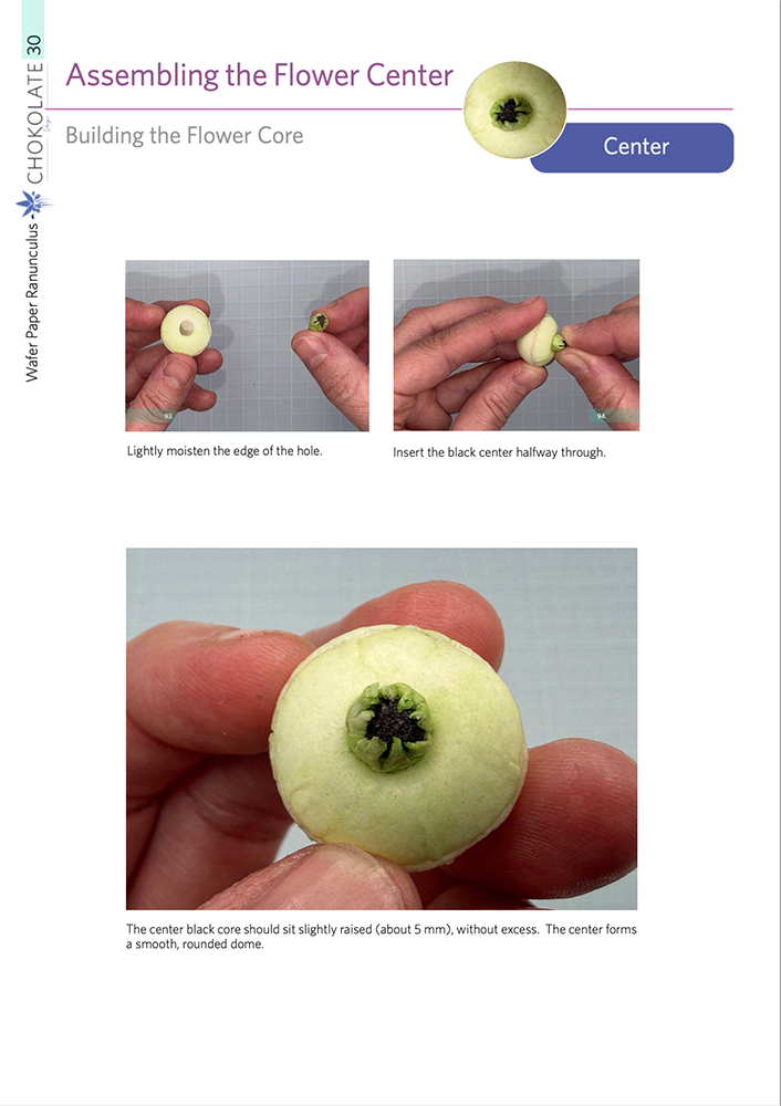 Ranunculus Buds - Chokolate Designs