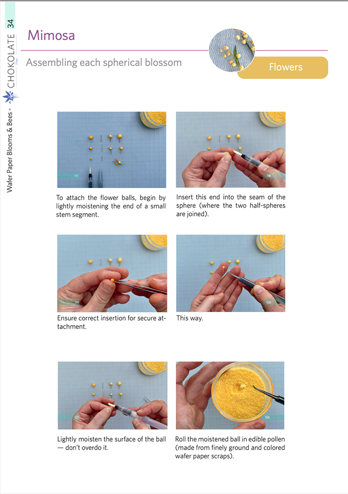 Blooms & Bees Demo Product EN
