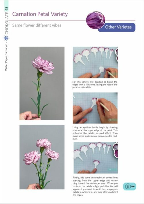 EBook Wafer Paper Carnations