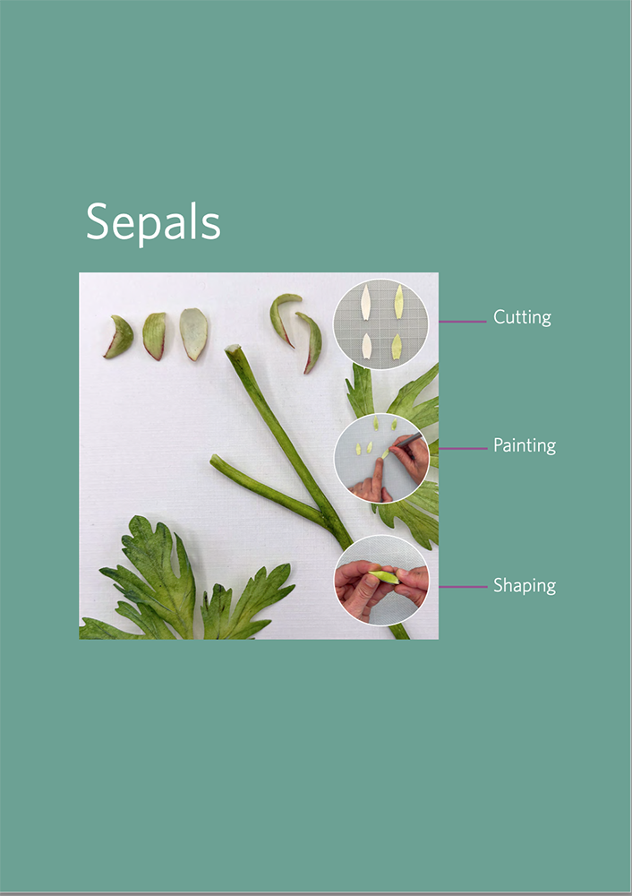 Ranunculus Sepals - Chokolate Designs