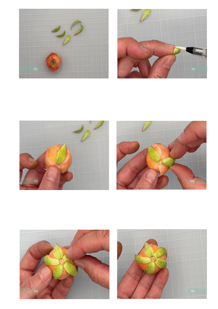 Ranunculus Petals - Chokolate Designs