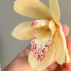 Detail Orchidée Wafer Paper - Chokolate Designs