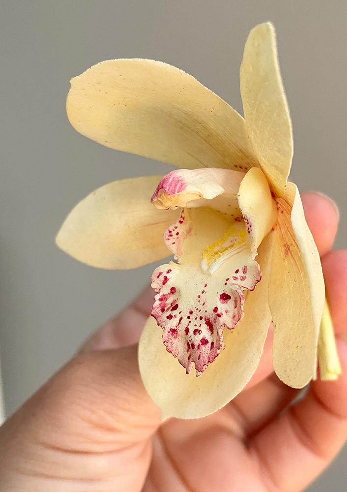 Detail Orchidée Wafer Paper - Chokolate Designs