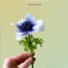 Anemone pre-cut wafer paper - Chokolate Designs