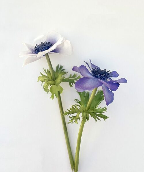 Pre-Cut Wafer Paper Anemones Flowers