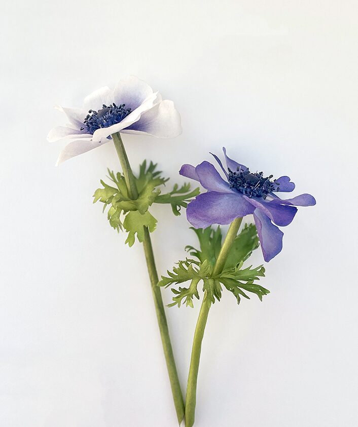 Pre cut Anemone Wafer Paper - Chokolate Designs