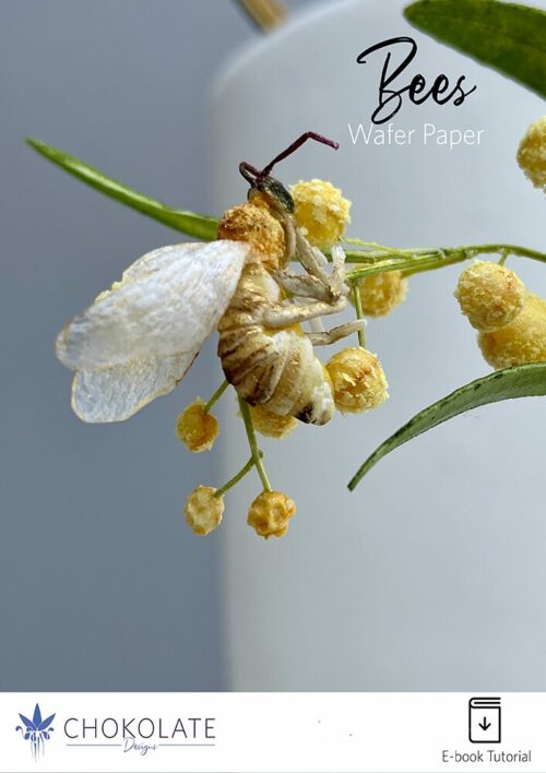 Bees Cover Product EN