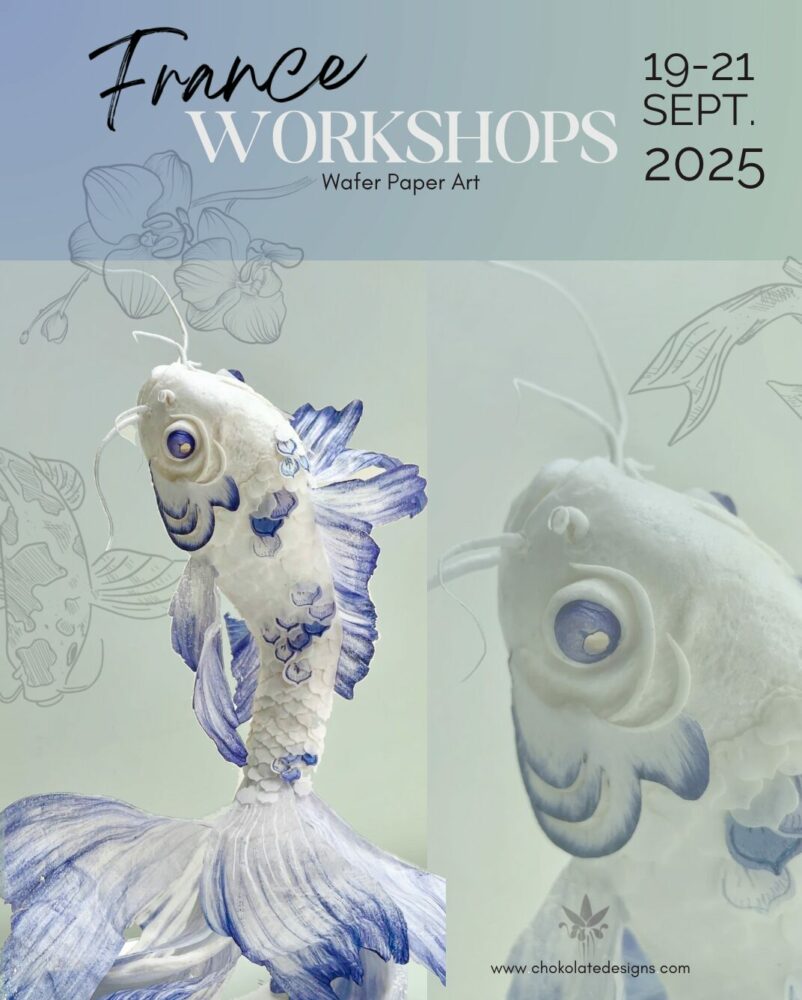 Workshop France Poster