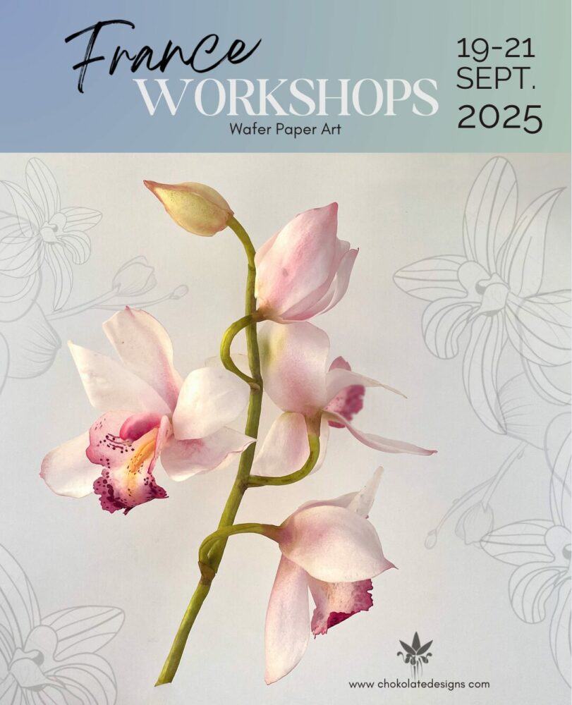Workshop France Poster