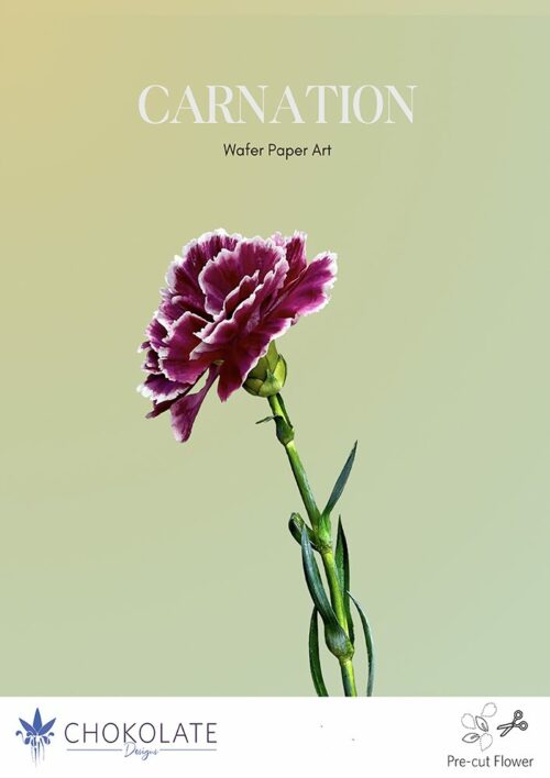 Carnation Pre-cut template - Chokolate Designs