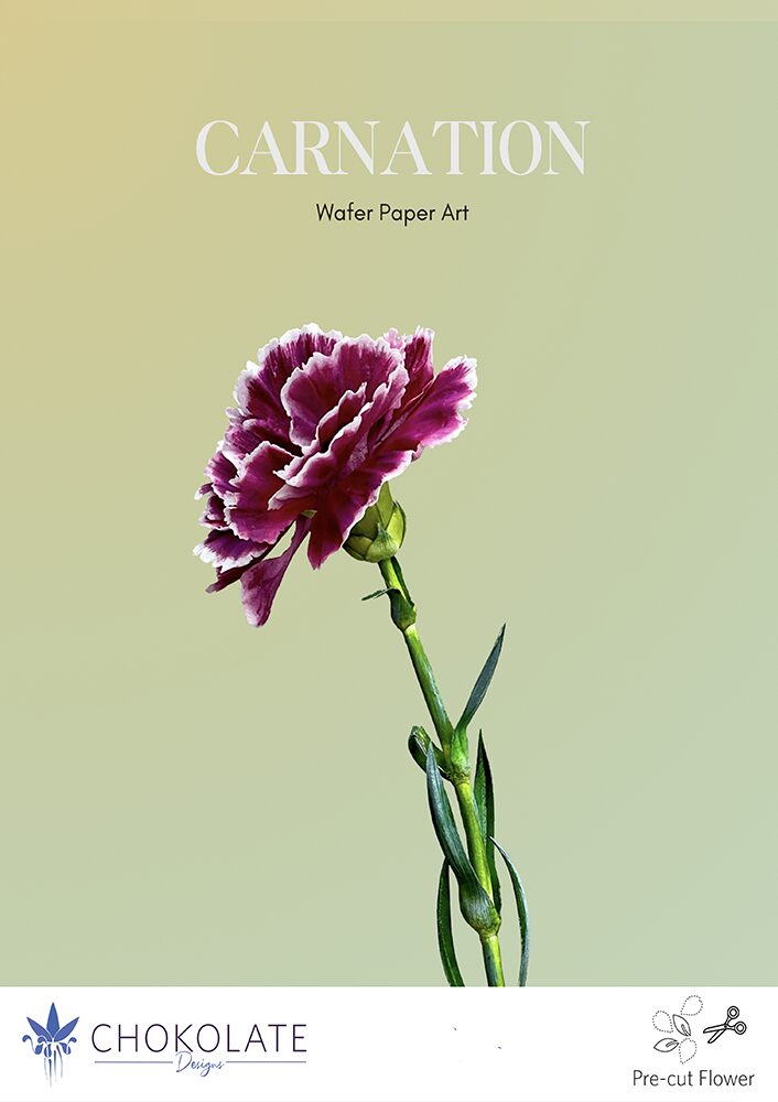 Carnation Pre-cut template - Chokolate Designs