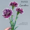 Carnations Wafer Paper - Chokolate Designs