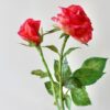 Pre-cut Roses - Chokolate Designs