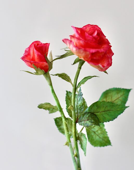 Pre-cut Roses - Chokolate Designs