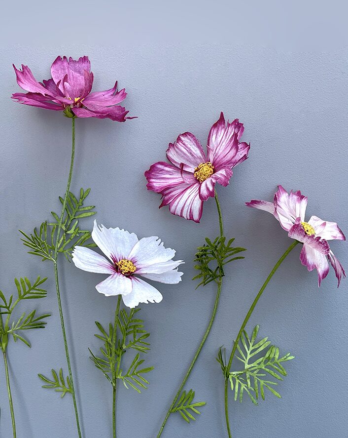 Pre cut Cosmos Wafer Paper - Chokolate Designs