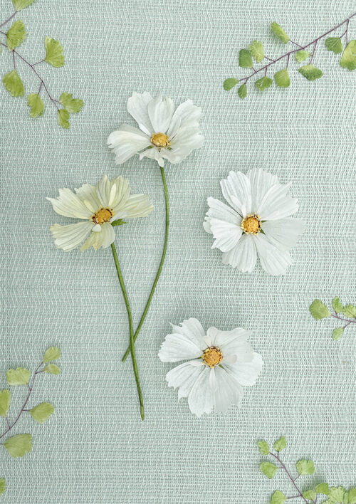 Blooms & Bees Templates Bundle
