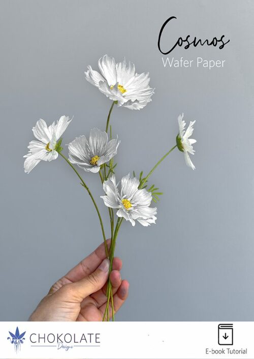 Cosmos Cover Product EN