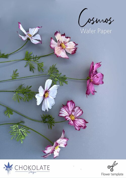 Cosmos Flower Template