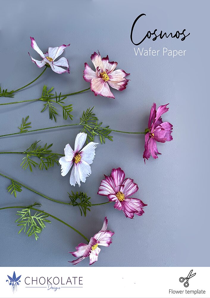 Cosmos Flowers Template