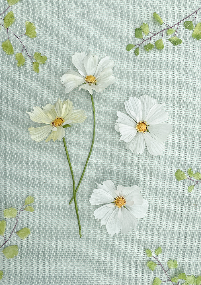 Cosmos template