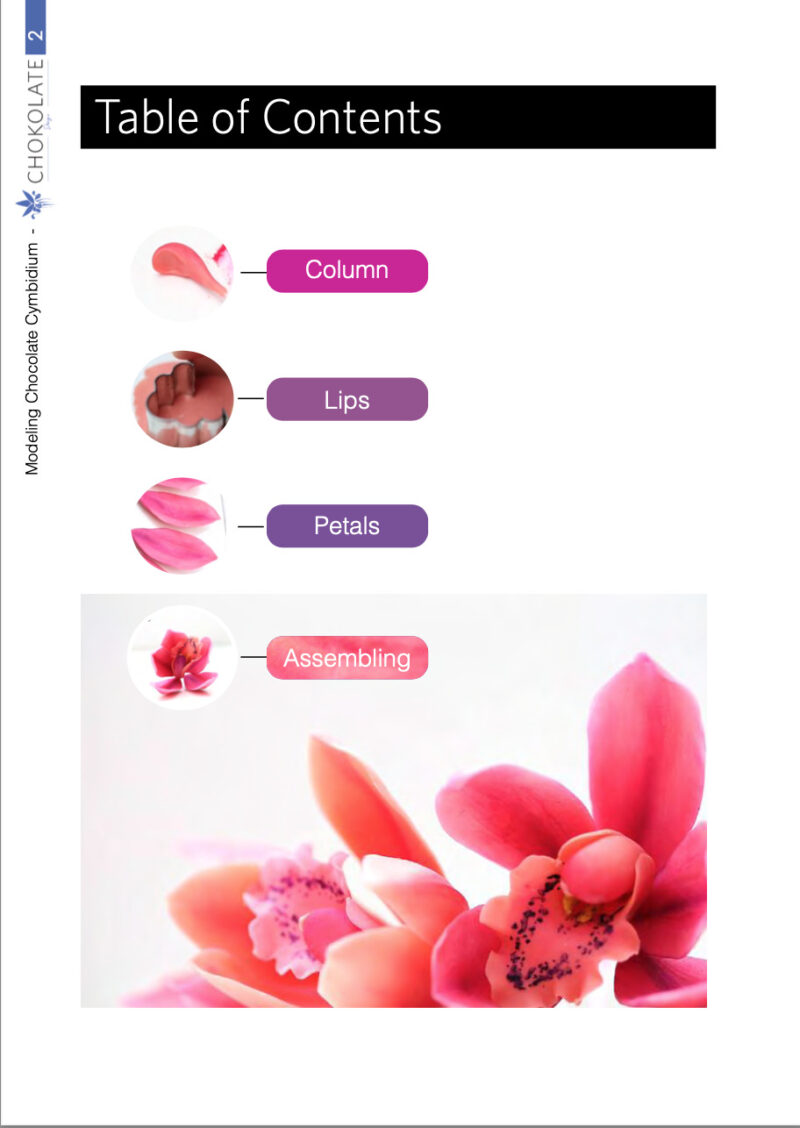 Cake design decorating chocolate orchid flower cymbidium video tutorial