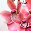 Cake design decorating chocolate orchid flower cymbidium video tutorial