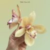 Cymbidium Pre-cut template - Chokolate Designs