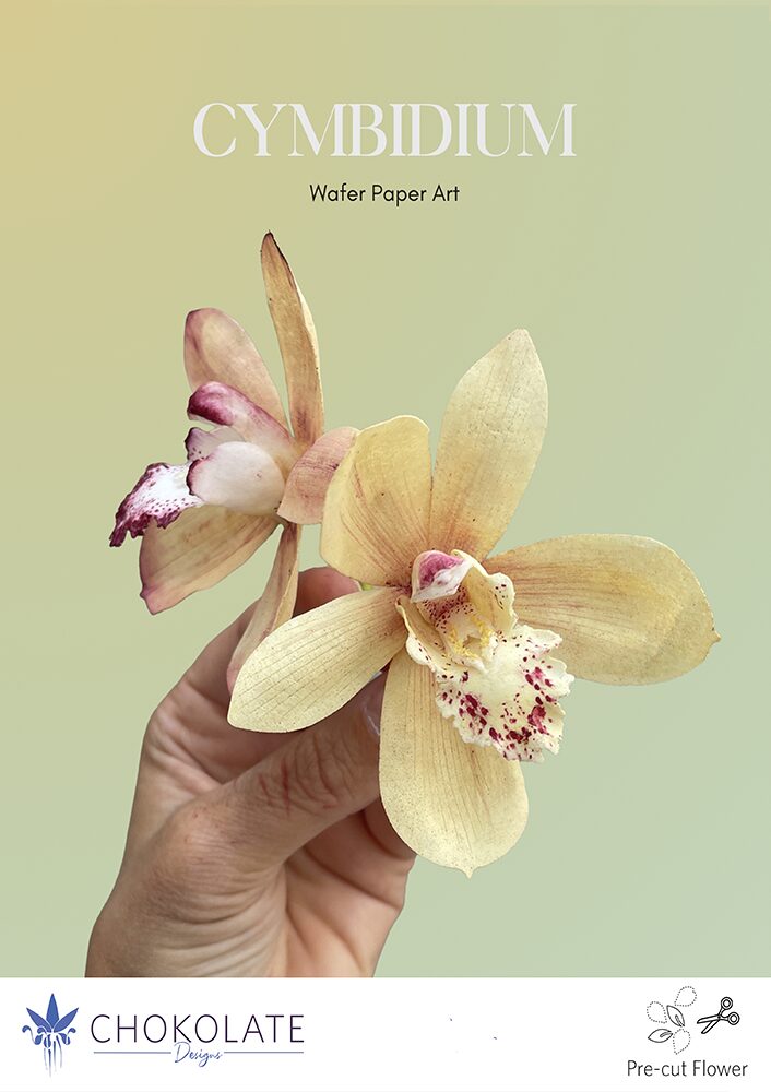 Cymbidium Pre-cut template - Chokolate Designs