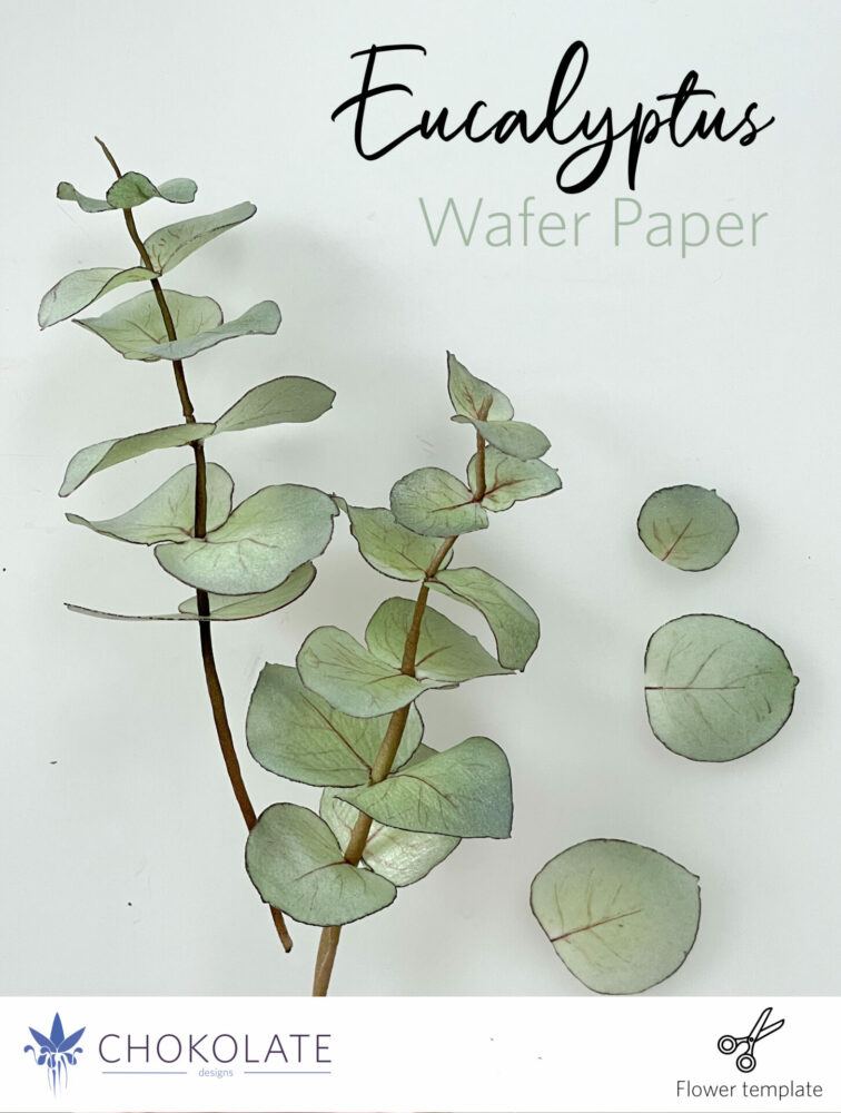 Eucalyptus - Tutorial - Wafer Paper - Template - Cake design - Wedding - svg - dxf