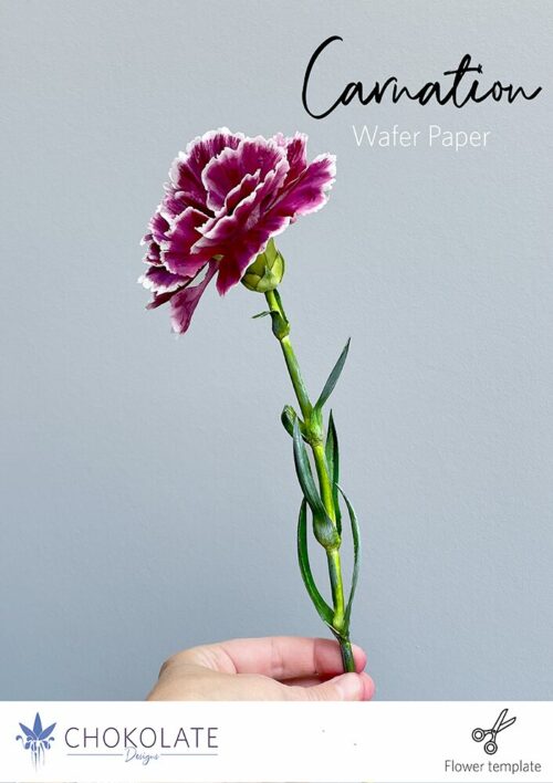 Carnation Flower Template - Chokolate Designs