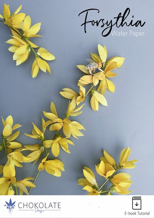 Forsythia Cover Product EN