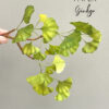 Ginkgo Templates Wafer Paper - Chokolate Designs