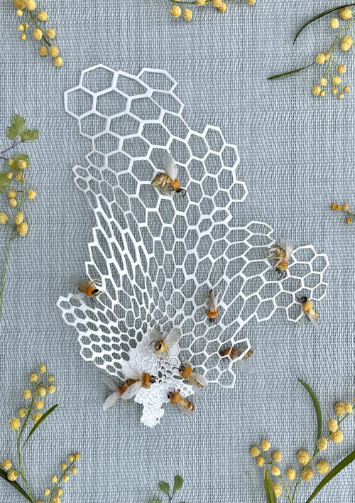Blooms & Bees Templates Bundle
