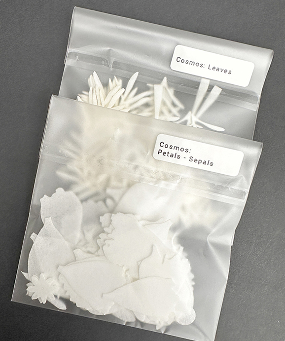 Pre-cut Cosmos bag - Chocolate Designs