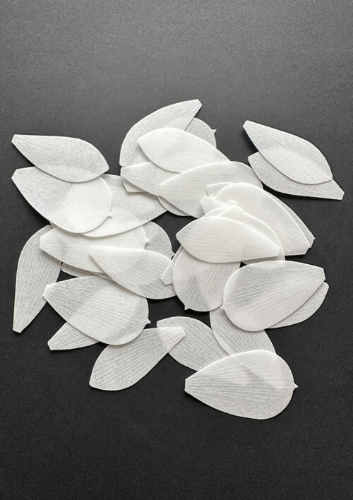 Pre-Cut Wafer Paper Cymbidium Flowers