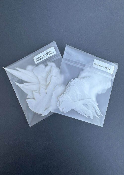 Pre-Cut Wafer Paper Carnations Flowers